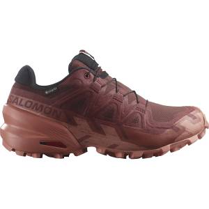 Salomon SPEEDCROSS 6 GTX W CARBON-PROVENCE-WHITE