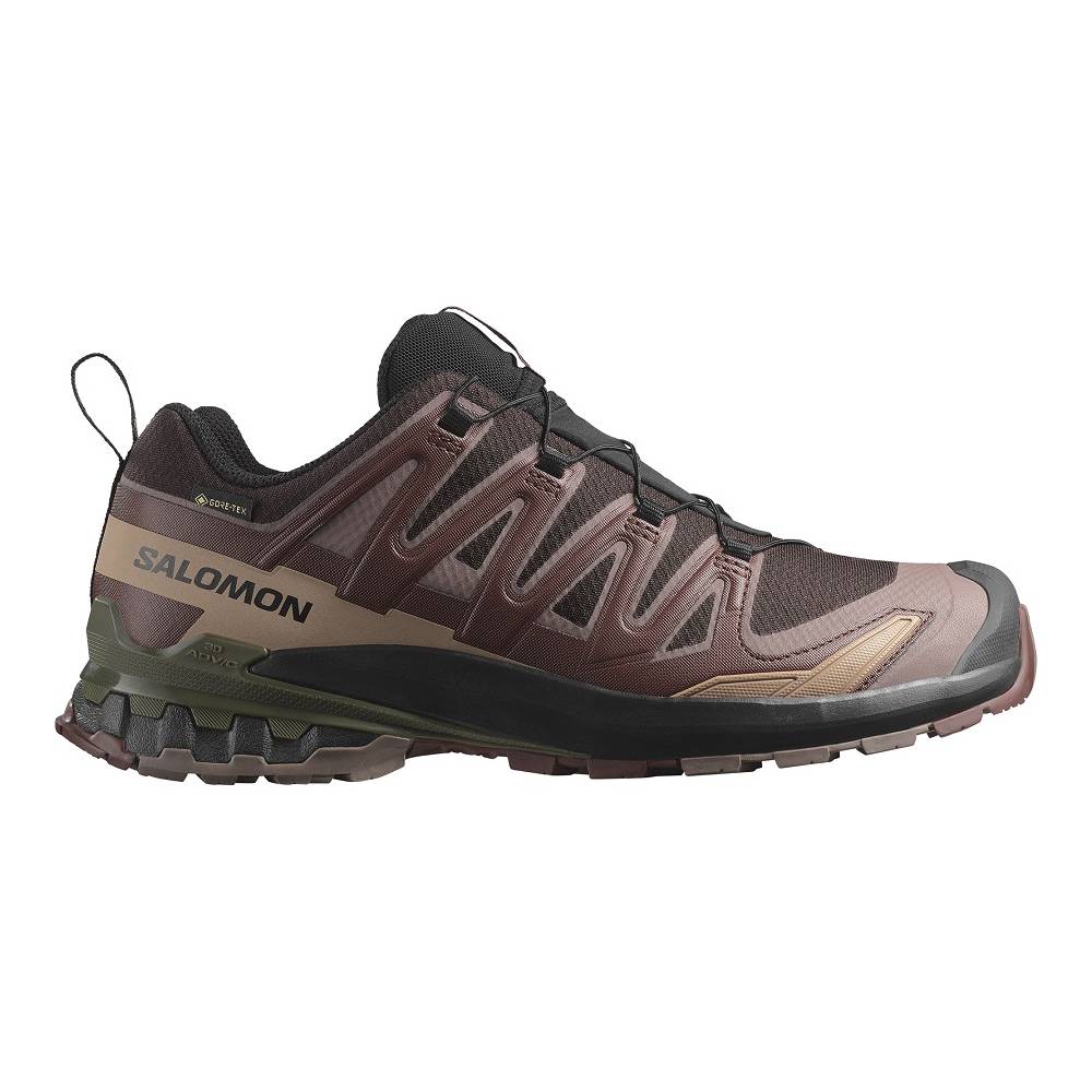 Salomon XA PRO 3D V9 GTX LACK COFFEE/RUM RAISIN/OLIVE NIGHT