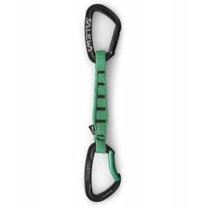 Salewa ORTLES STRAIGHT/BENT 170 QUICKDRAW BLACK-IRISH GREEN