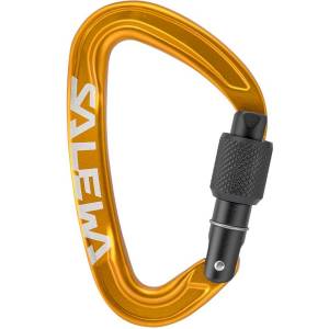 ORTLES SCREW CARABINER