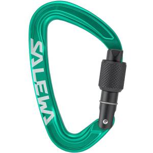 Salewa ORTLES SCREW CARABINER IRISH GREEN