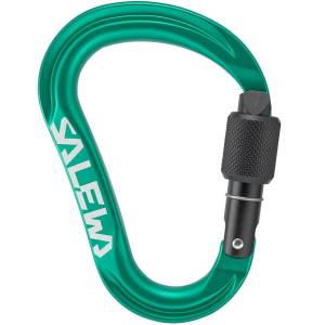 Salewa ORTLES HMS CARABINER S IRISH GREEN