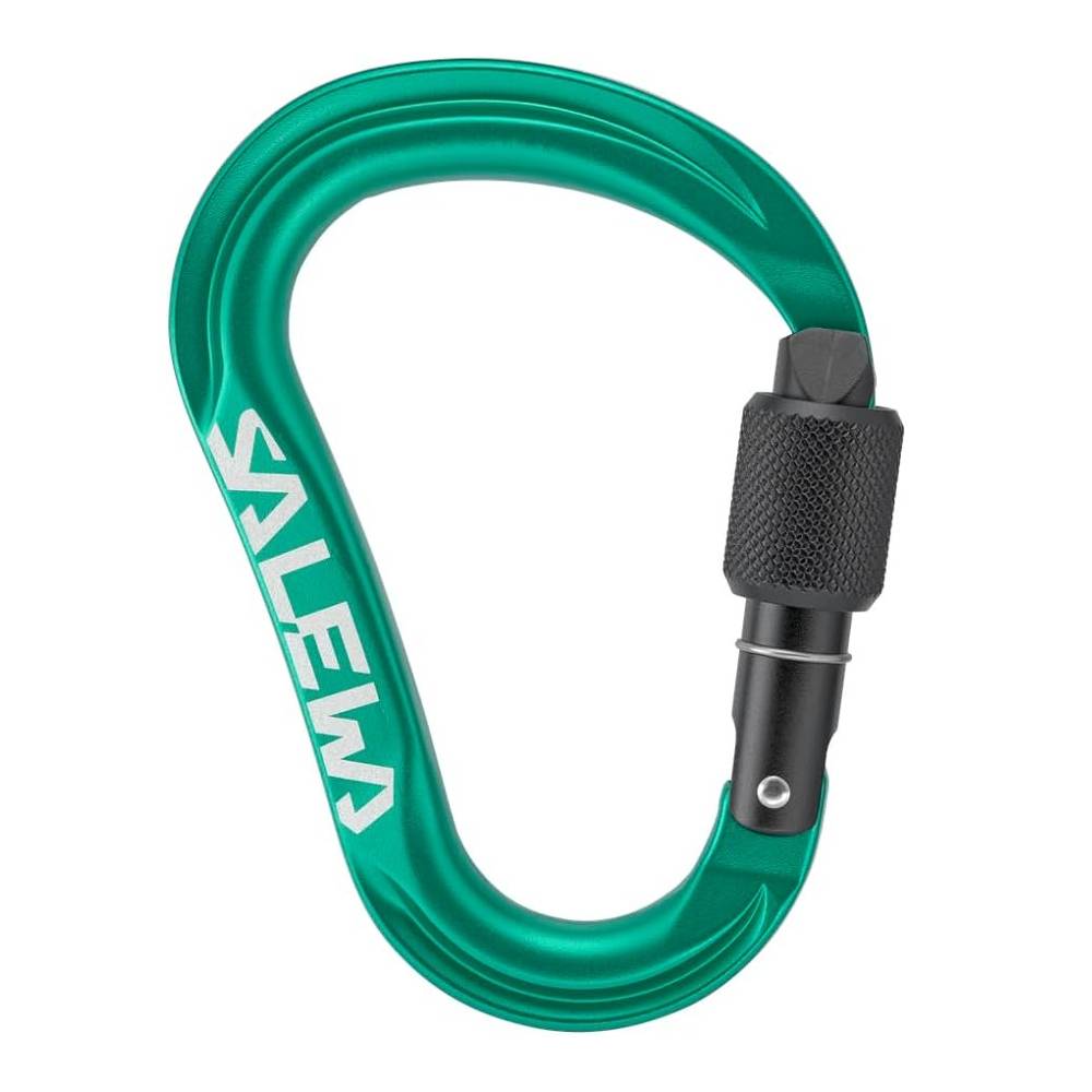 Salewa ORTLES HMS CARABINER S IRISH GREEN