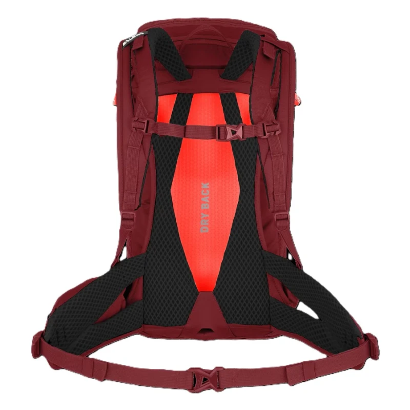ALP TRAINER 20L BACKPACK WOMEN