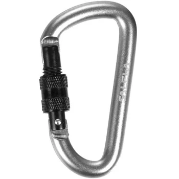 D-SHAPE CARABINER WITH SCREW