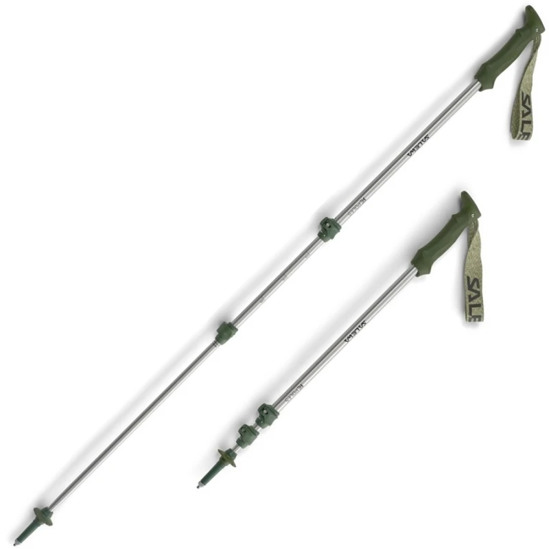 REPOLES