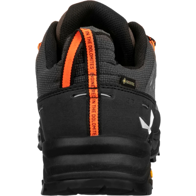 ALP TRAINER 2 GORE-TEX MEN'S