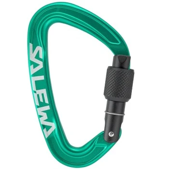 ORTLES SCREW CARABINER