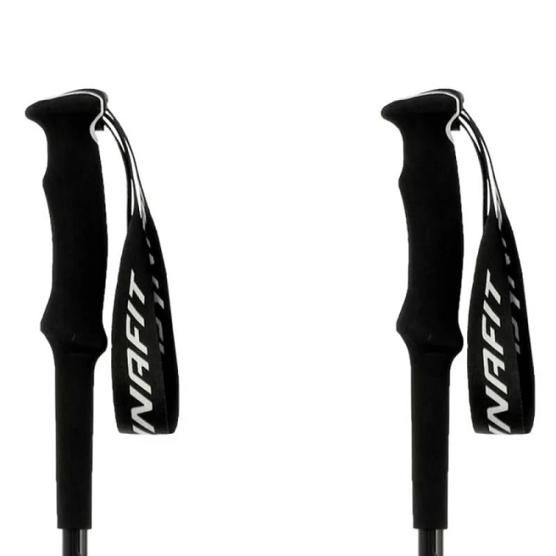 ALPINE PRO POLE