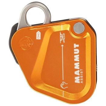 ASSIST BELAY RESISTOR