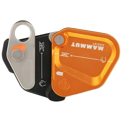 ASSIST BELAY RESISTOR
