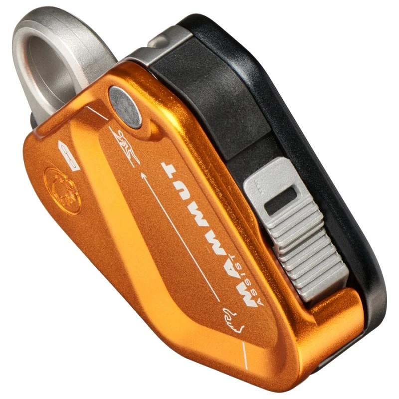 ASSIST BELAY RESISTOR
