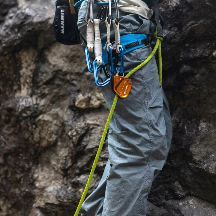 ASSIST BELAY RESISTOR