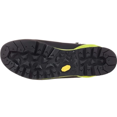 ALPINE PRO GTX