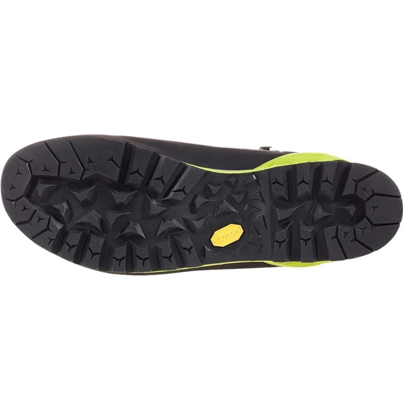 ALPINE PRO GTX