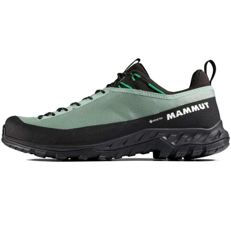 ALNASCA IV LOW GTX MEN