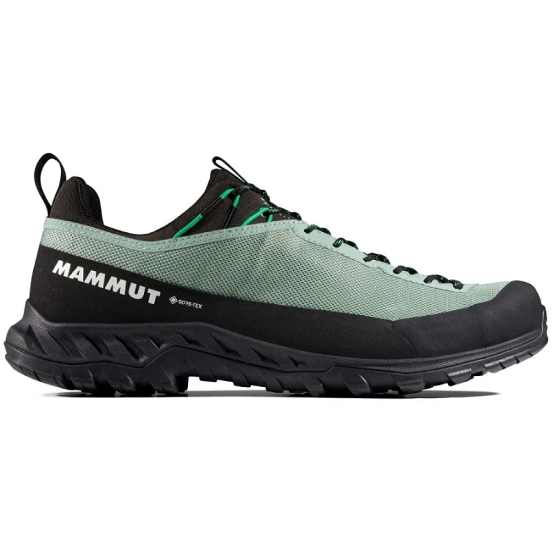 ALNASCA IV LOW GTX MEN