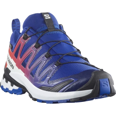 XA PRO 3D V9 GORE-TEX EQUIPE