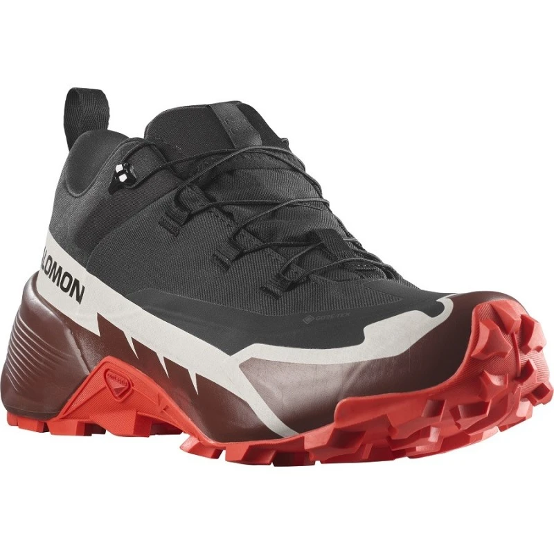 CROSS HIKE GTX 2