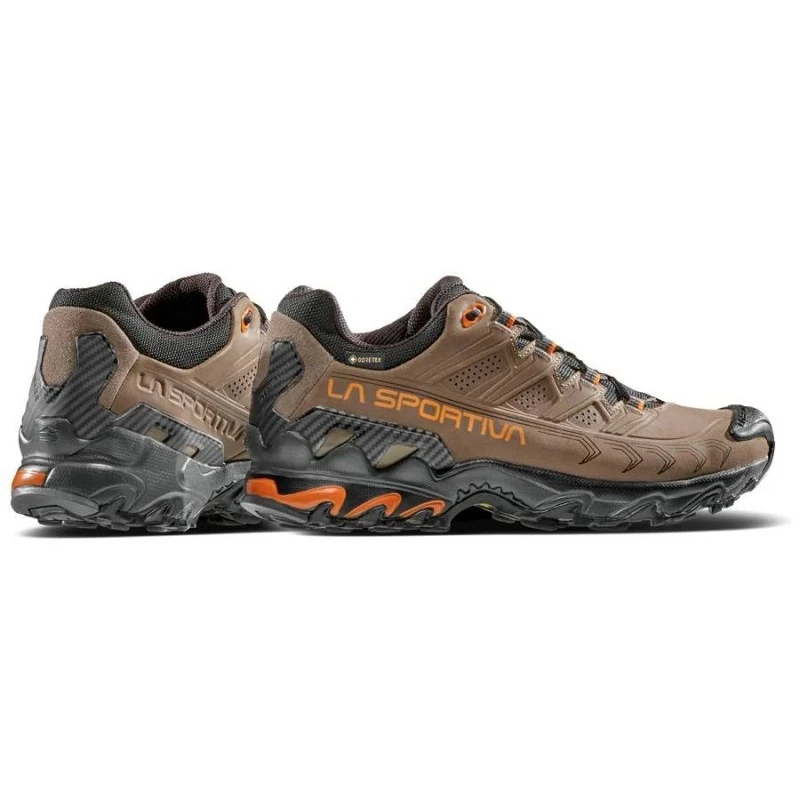 ULTRA RAPTOR II LEATHER GTX