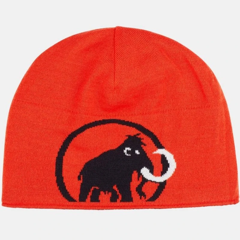 MAMMUT LOGO BEANIE