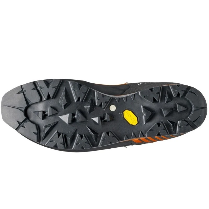 MONT BLANC PRO GTX