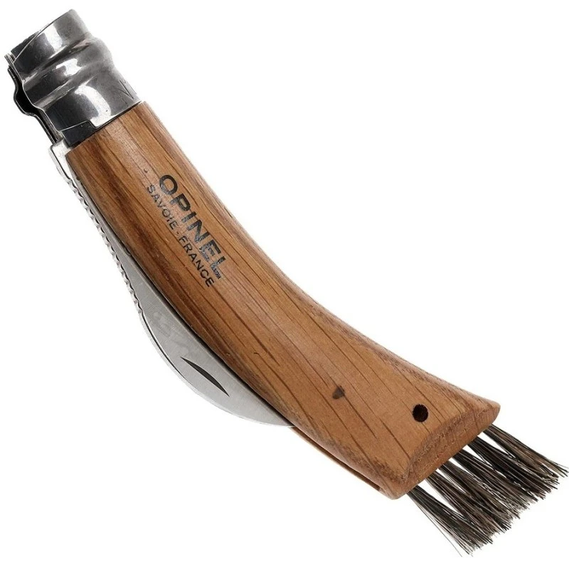 PLUMIER CTX CHAMPIGNON + SETAH