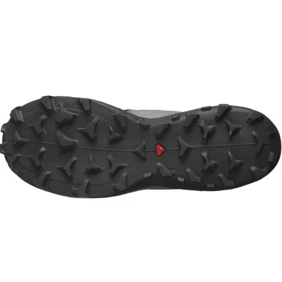 WILDCROSS 2