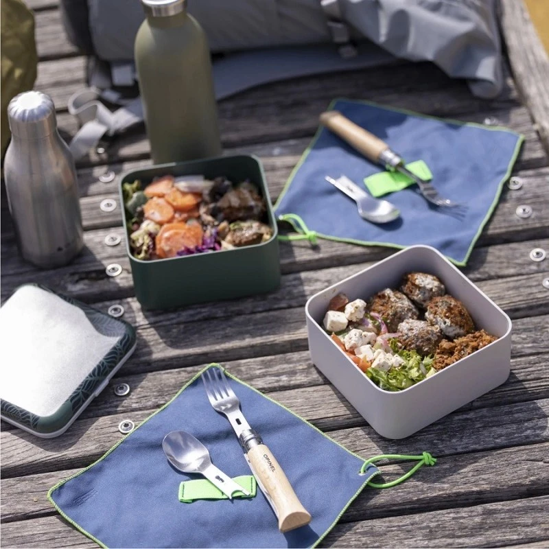 PICNIC