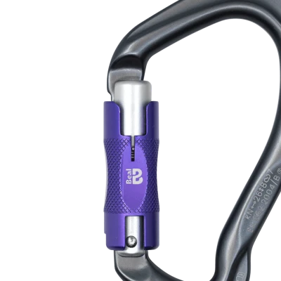 BE LINK BI MATIC