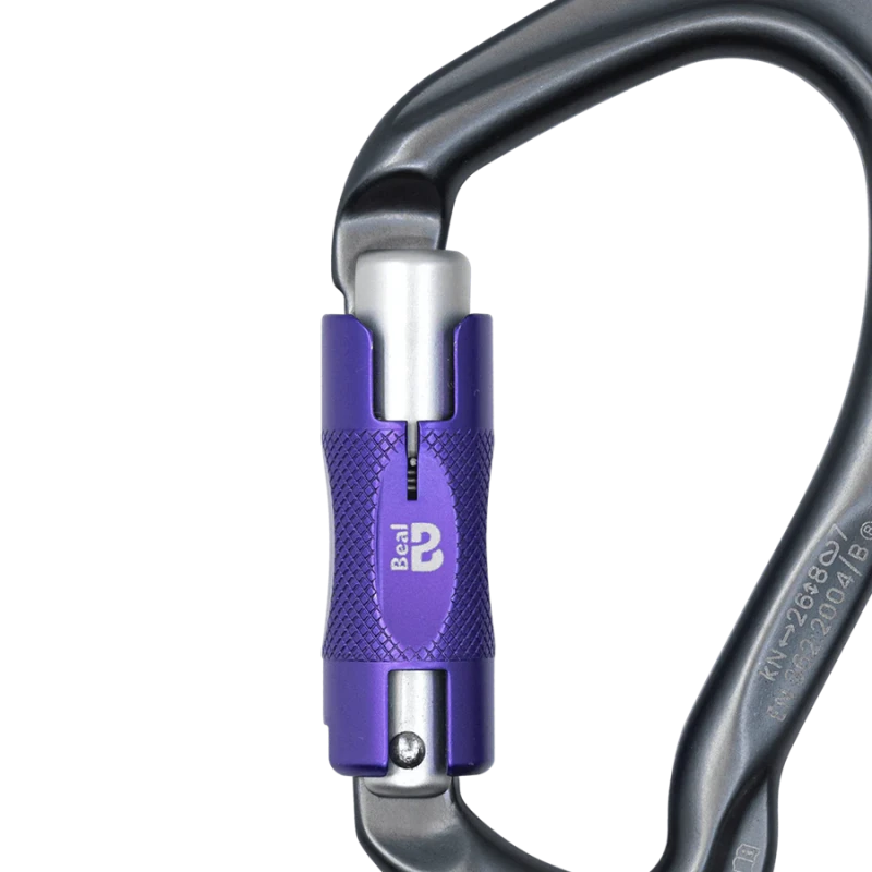 BE LINK BI MATIC